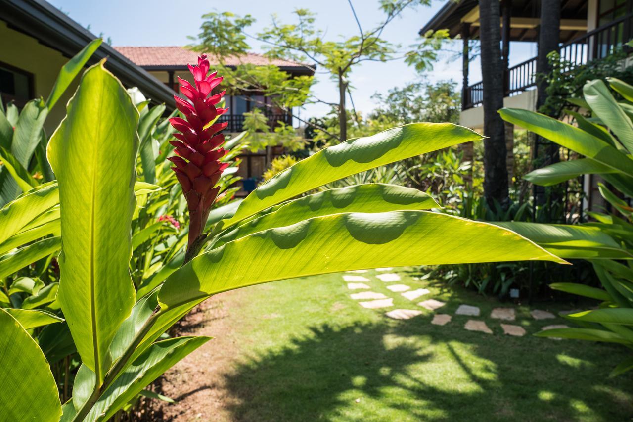 Dream Garden Hotel Arugam Bay Bagian luar foto
