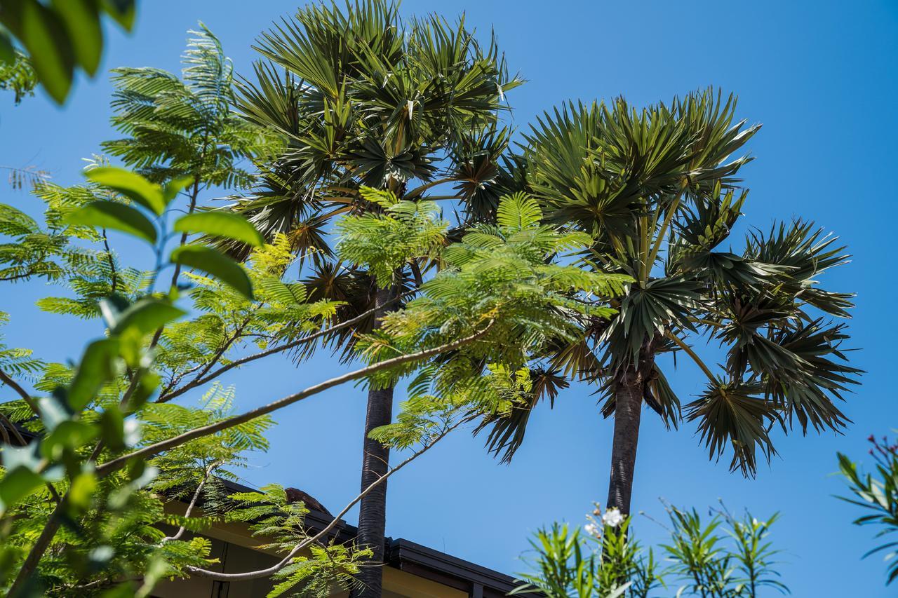 Dream Garden Hotel Arugam Bay Bagian luar foto