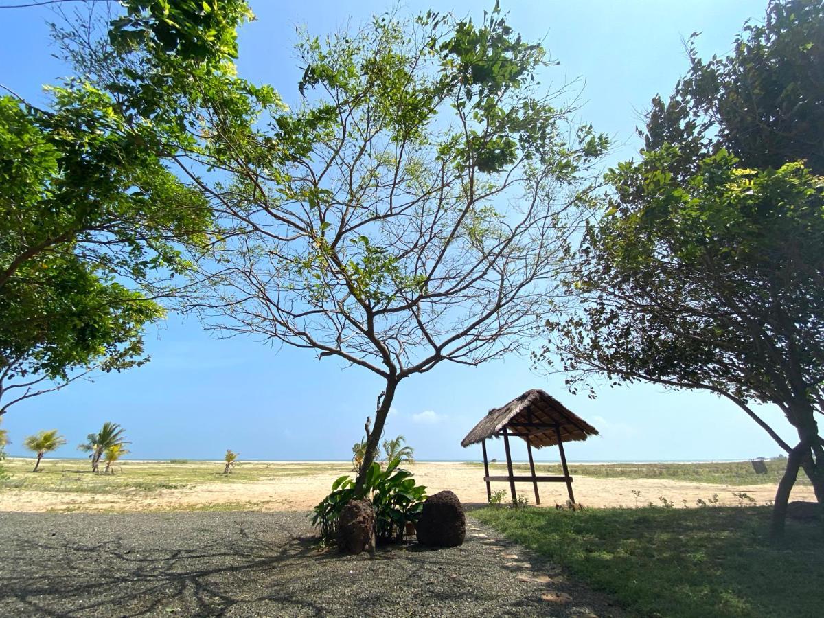 Dream Garden Hotel Arugam Bay Bagian luar foto